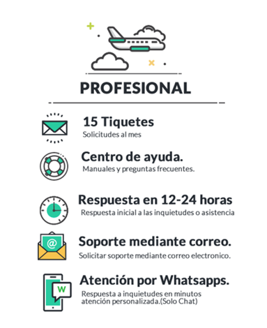 profesional.png