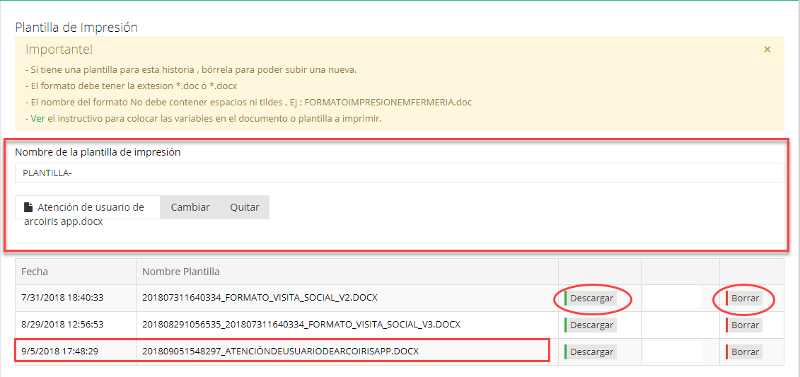 plantilla-1-2.png